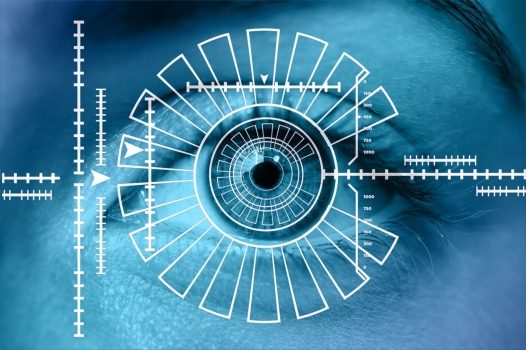 Biometric access technology